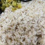 サッチェズカリー - 玄米