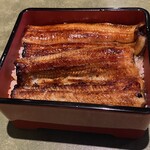 Unagi Fujita - 