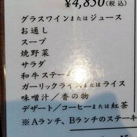 横浜瀬里奈 ステーキドーム - 