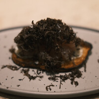 QUAND L'APPETIT VA TOUT VA ! - 