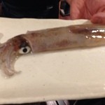 日本橋漁港 快海 - 活いかを・・・