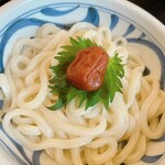 Kawata Udon - 