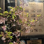 Stars'n Cacio Kyoto - 