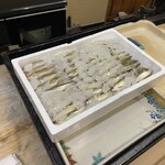 うを徳 - モロコさん達