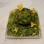 レストラン ナズ - 菜の花畑