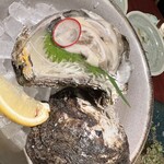 産直さばと青魚 伏見あおい - 