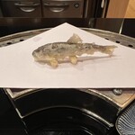 お座敷天婦羅 天政 - 