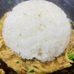 麺家 幸乃鶏 - 追い飯なかなか量がありました。ライスはマスト！