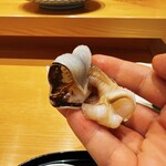 小松 弥助 - 鳥貝活きよくてピクピク