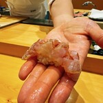 小松 弥助 - 真鯛