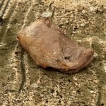 鶏や。やまぐち - 