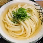 うどん たかしま - ひやあつ（中）500円