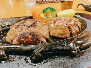 Sawayaka - げんこつハンバーグランチ(250g)_¥1,375