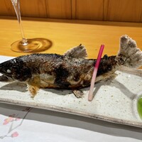 柳家錦 - 