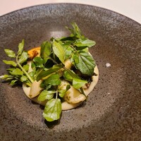 RISPETTO - 