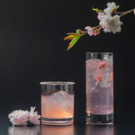 桜ジントニック [CHERRY BLOSSAM GIN TONIC]