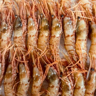 イタリア料理
