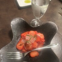 オッジ ダルマット 西麻布店 - 