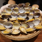 イル アオヤマ - 