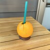 東尋坊291 - カジュッタ（オレンジ）…税込600円
