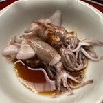 今 - ホタルイカ