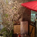 レストラン フォッセ - ロビーには桜ありました