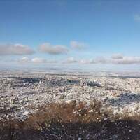 Le seul - 