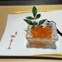 北新地 鮨 栞庵 やましろ - 