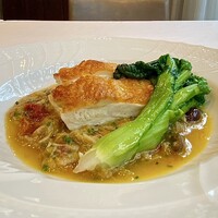 クリマ ディ トスカーナ - 長崎対馬産地鶏 長崎五島産ホウキハタ 茨城産雪菜
                    この日のNo. 1はこれ！