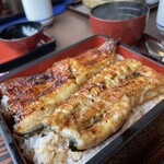 Ikiunagi - 