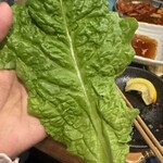 ホルモン長岡 - 