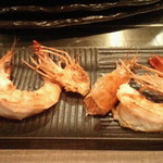 鉄板人 - ニューカレドニア産天使の海老