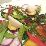 テルツィーナ - ﾊﾞｰﾆｬｶｳﾀﾞｰ　1450円（2014年2月)　