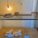 菓子工房 キャトルセゾン - パン　売り切れてました。