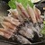 魚処 おぎた - 料理写真:◆ホテルイカ＠１０００円