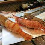 寿司栄 - 鬼海老、縞海老、獅子海老