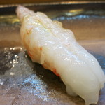 寿司栄 - 富山ボタン海老　握り