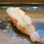 寿司栄 - 富山縞海老　握り