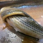 寿司栄 - 小肌　握り