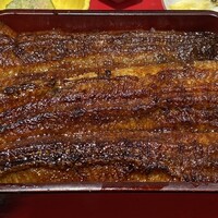 炭焼 うな富士 有楽町店 - 