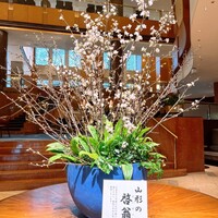 中国料理 彩龍 - 