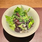 アカ - 2024.3.  24種の野菜のサラダ アホブランコスープ