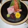ニッポニア - 
