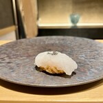 Sushi Kanade - アオリイカ