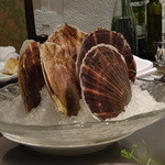 表参道うかい亭 - 帆立貝