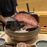 鮨 さえ喜 - 捌かれた石鯛