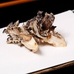 天富良 天露 - 舞茸