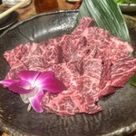 金泉苑 - 