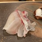 鮨桂太 - マダイ