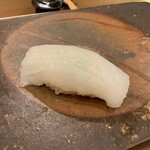 鮨桂太 - アオリイカ